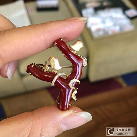 顶级赤血珊瑚枝，胸针，吊坠两用款，左一是设计师款，中间的和右边的都出自本工作室设..._吊坠胸饰珊瑚