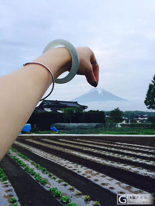 就是来秀秀镯子_手镯翡翠