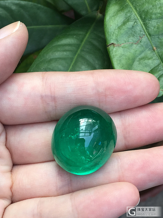 年底了，来颗哥伦比亚祖母绿鸽子蛋_蛋面祖母绿