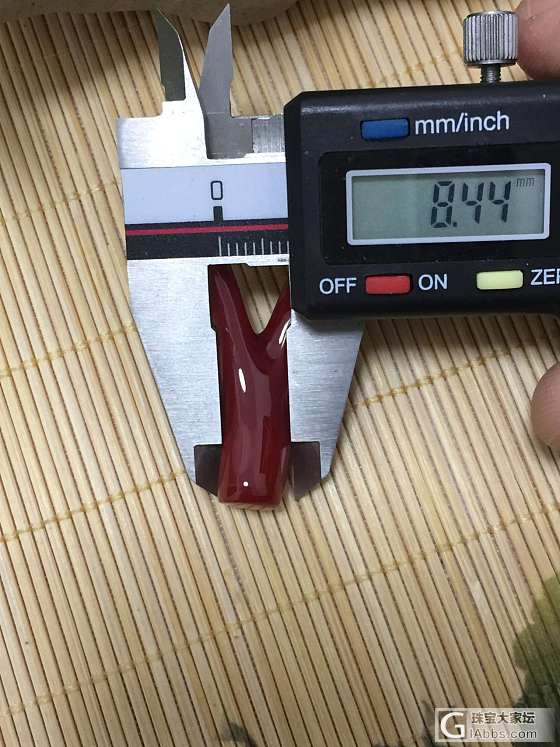 日本阿卡牛血珊瑚枝，4.21克，面干净无暗花瑕疵 专业批发_配品珊瑚