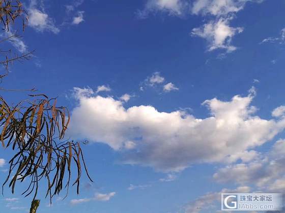 眼里住着阳光，笑里全是坦荡。_翡翠