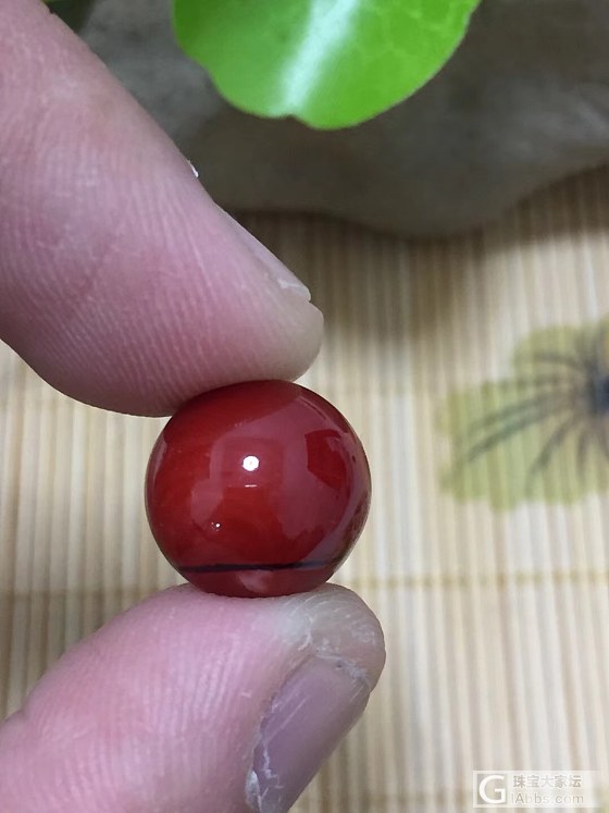 阿卡红珊瑚圆珠，珠子：2.7克、12.54MM  专业批发_配件珊瑚