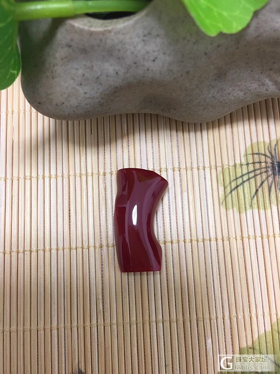 阿卡牛血红珊瑚随形枝，5.69克，面干净无暗花瑕疵_戒面珊瑚