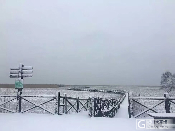 家乡的雪！几年难见！_旅游