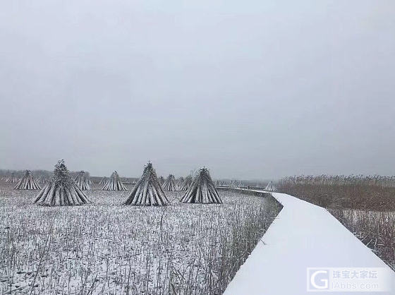 家乡的雪！几年难见！_旅游