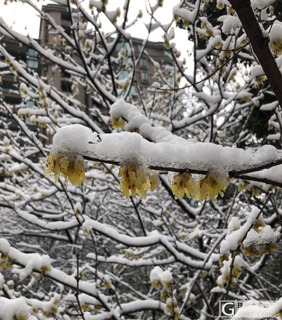 冰雪美景美翠翠_摄影