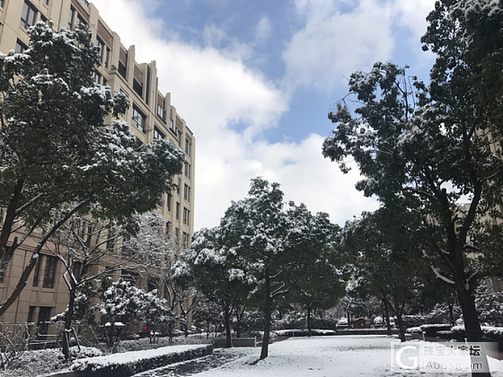 晒一波雪景，难得下雪下的这么大_摄影