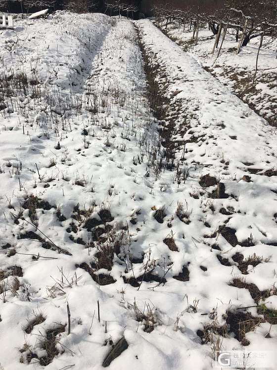 雪❄️_摄影