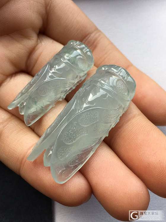 分享一下这一对知了_挂件翡翠
