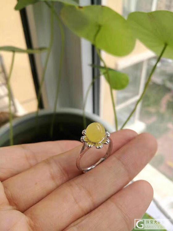 试出蜜蜡、蓝珀戒指吊坠 挥泪不低于一百元就出_耳钉吊坠戒指琥珀蜜蜡