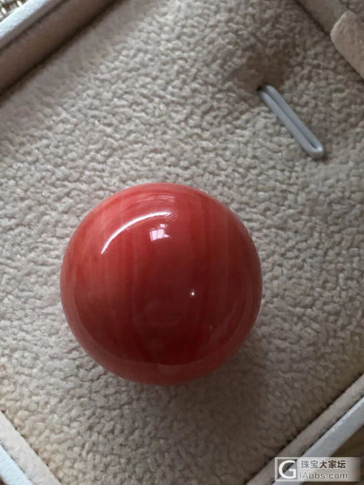 红珊瑚_配件珊瑚