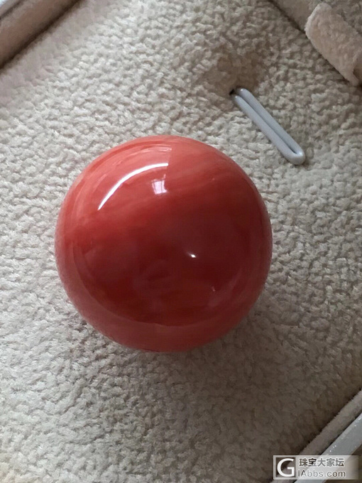 红珊瑚_配件珊瑚