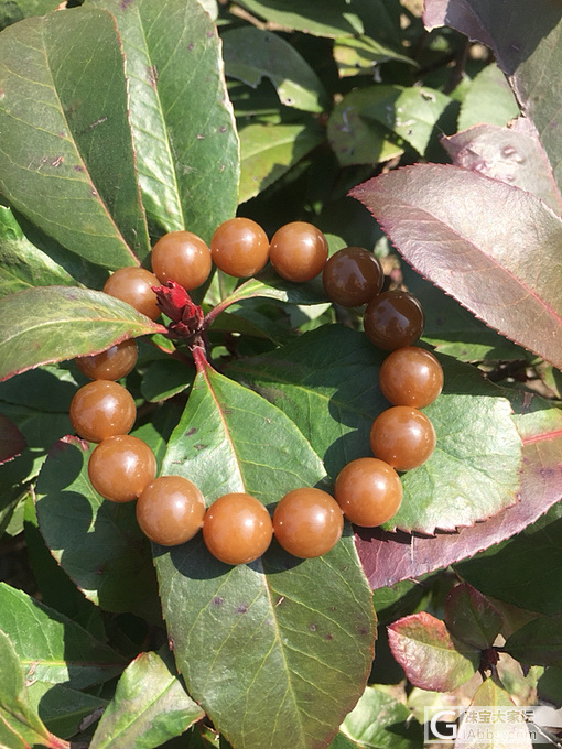 情人节来个水贴_首饰