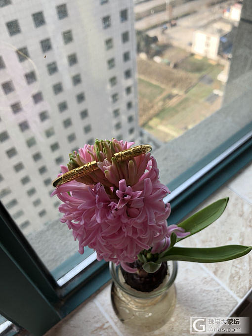 晒镯子晒镯子_手镯金