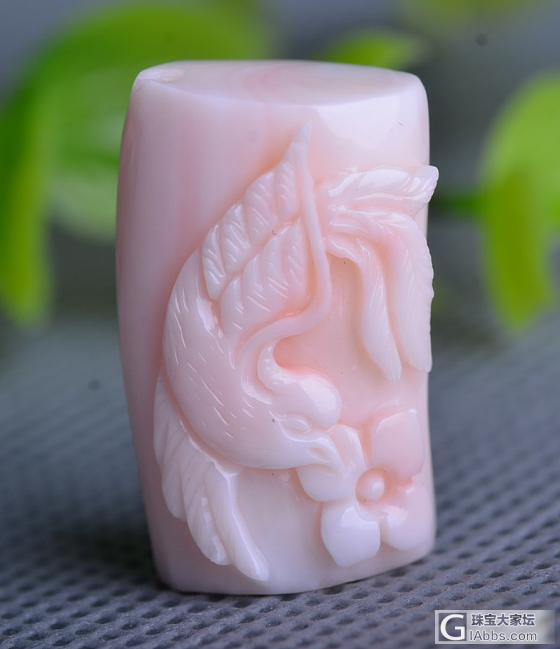 大家帮我看看这两个是什么类别的珊瑚？_珊瑚