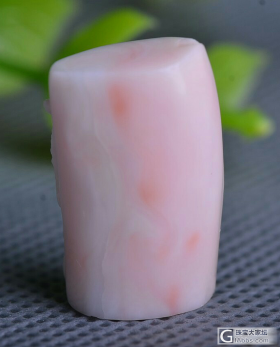 大家帮我看看这两个是什么类别的珊瑚？_珊瑚