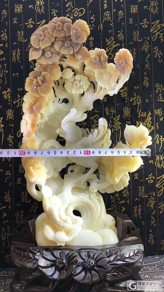 砗磲_摆件砗磲