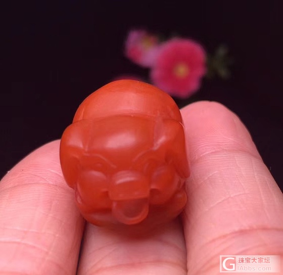 超萌南红小🐷，你看可不可爱_挂件南红