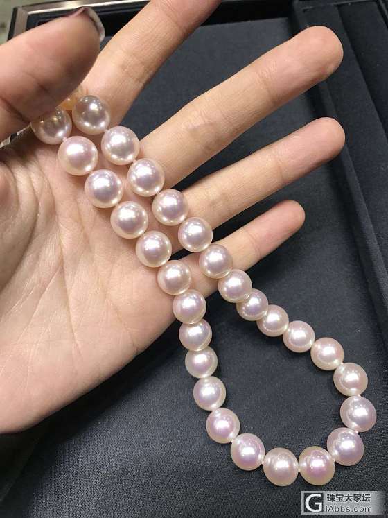 今年天女又涨价了。。。。_海水珍珠