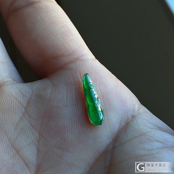 阳绿小豆子，出来嗮嗮_翡翠