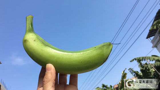 卖六鳌沙地红蜜薯，香蕉，茂谷柑，牛奶蜜枣_水果