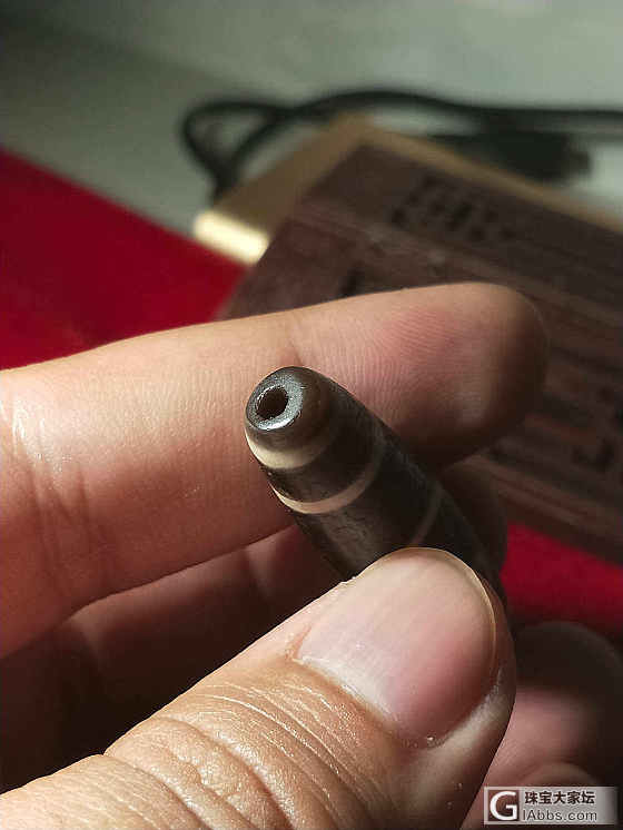两眼天珠，54.3/12.3mm，玉树连理，比翼双飞，事业有成；_天珠