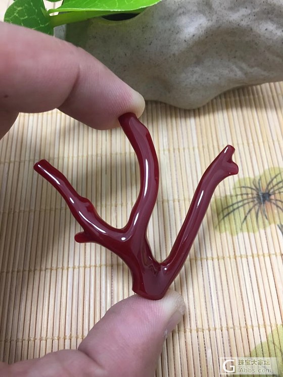 天然日本阿卡红珊瑚黑牛血红枝，7.16克  专业批发_挂件珊瑚