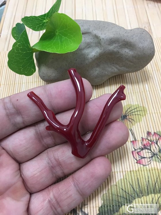 天然日本阿卡红珊瑚黑牛血红枝，7.16克  专业批发_挂件珊瑚
