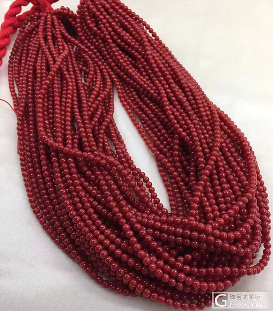 红珊瑚_配件珊瑚