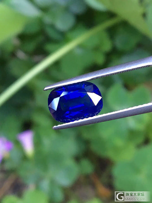 皇家蓝蓝宝石_刻面宝石蓝宝石