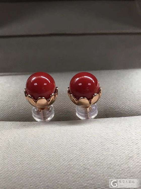 珊瑚_耳钉珊瑚