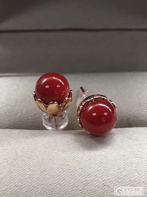 珊瑚_耳钉珊瑚