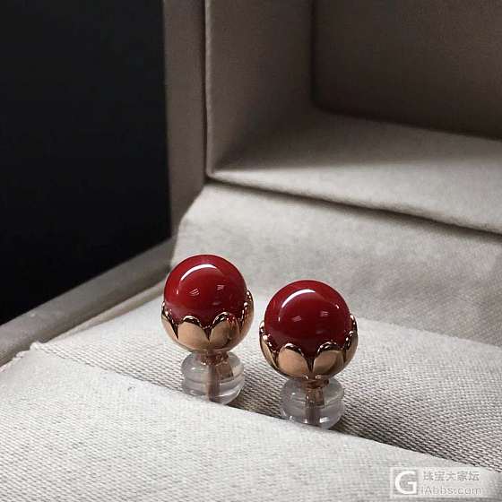 珊瑚_耳钉珊瑚