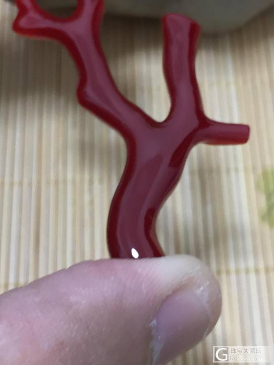 天然日本阿卡牛血红珊瑚裸枝 ,珊瑚重：4.73克  专业批发  288一克_挂件珊瑚