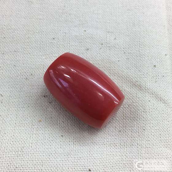 珊瑚_配件珊瑚