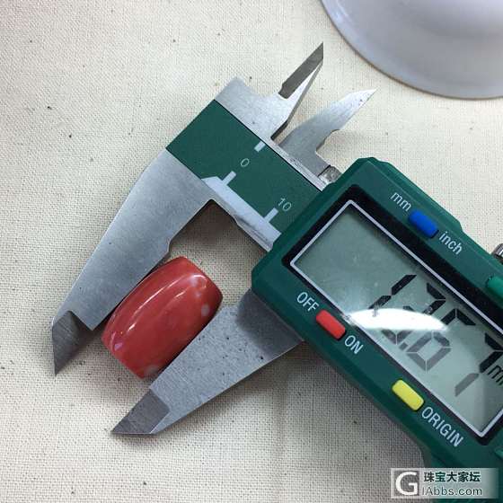 珊瑚_配件珊瑚