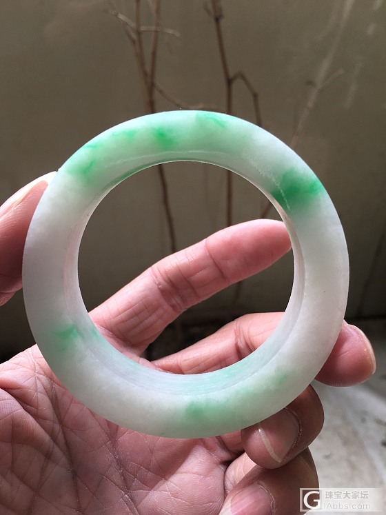 春色满园_翡翠手镯