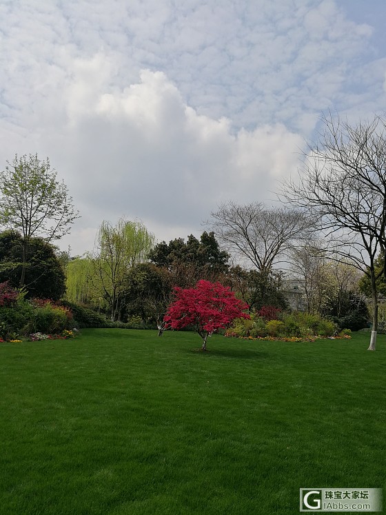 杭州最好的季节来了_景色杭州旅游