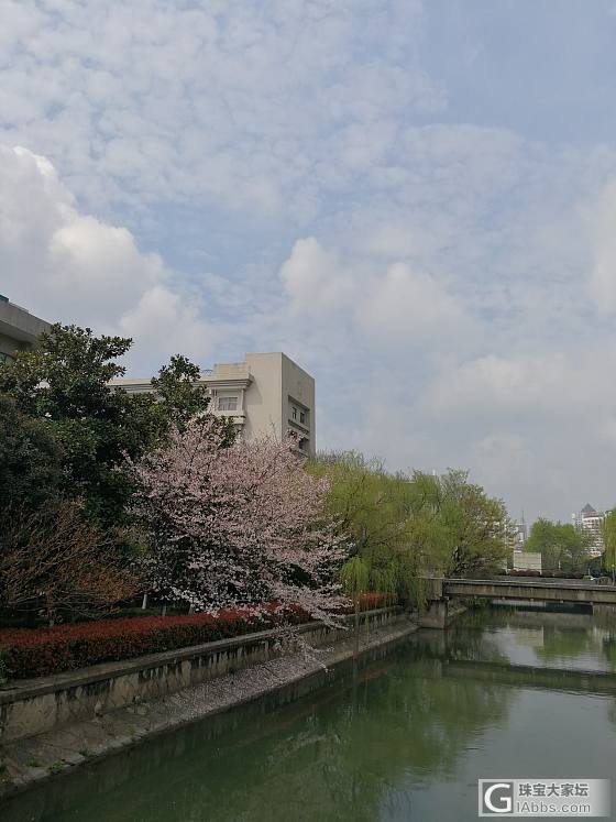 杭州最好的季节来了_景色杭州旅游