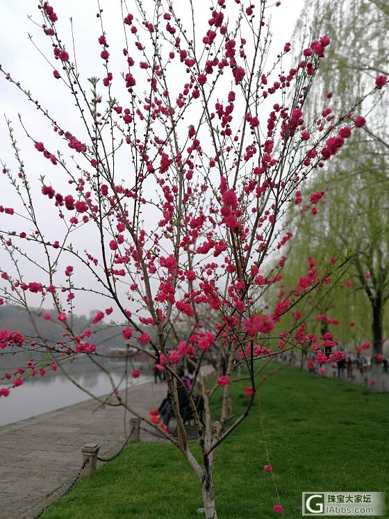 杭州最好的季节来了_景色杭州旅游