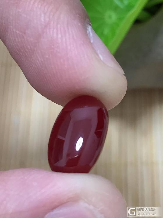 天然日本阿卡黑牛血红珊瑚戒面,珊瑚重：1.03克 专业批发阿卡_蛋面珊瑚