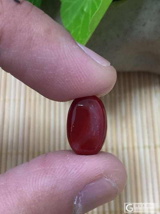 天然日本阿卡黑牛血红珊瑚戒面,珊瑚重：1.03克 专业批发阿卡_蛋面珊瑚