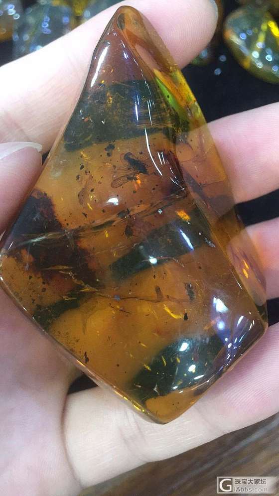 天然虫珀化石_虫珀