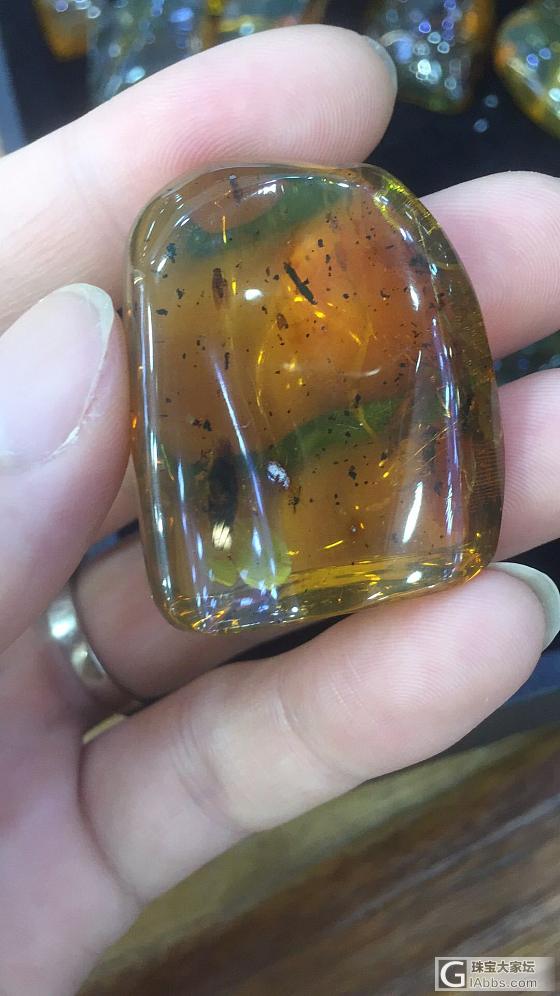 天然虫珀化石_虫珀