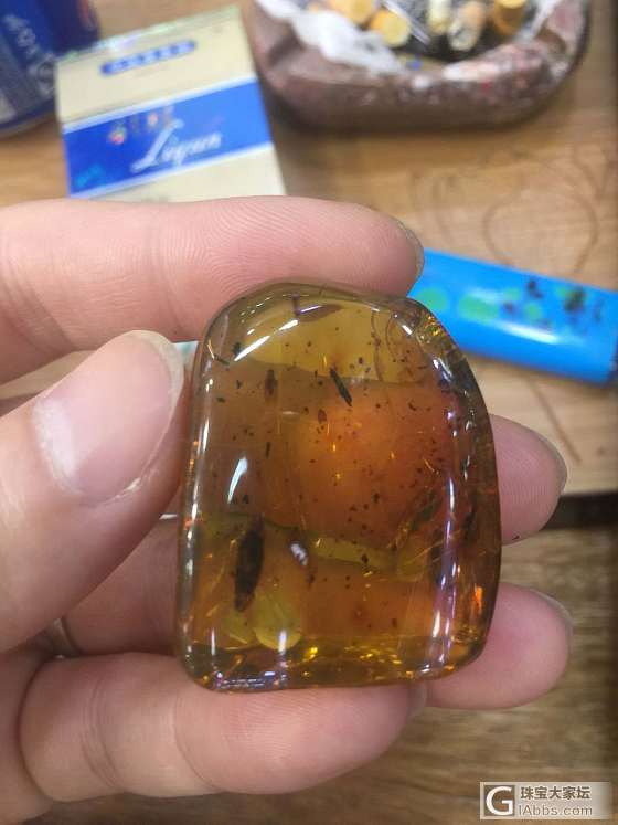 天然虫珀化石_虫珀