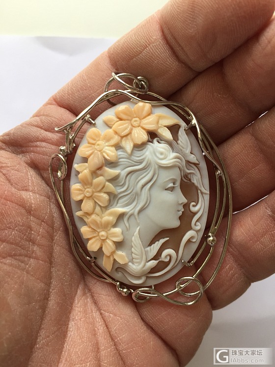 Cameo Shell_雕刻贝壳