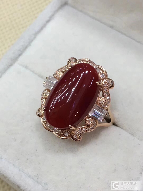 红珊瑚_戒指珊瑚