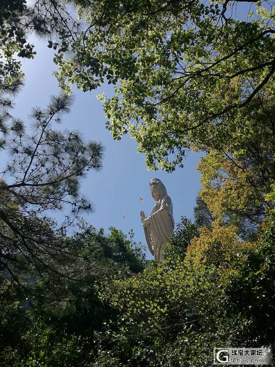 普陀山参访攻略_浙江旅游