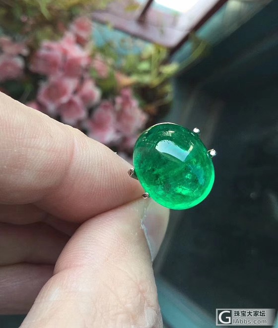 ##中颐旗舰天然赞比亚素面祖母绿##  13.95ct_蛋面祖母绿