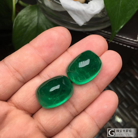 大蛋蛋_蛋面祖母绿